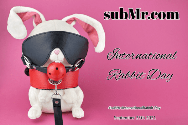 International Bunny Rabbit Day, Wear Your Ears Day, subMrs, Rabbit Vibe, Carrot Dildo, Bunny Ears Sex Position, Rabbit Facts