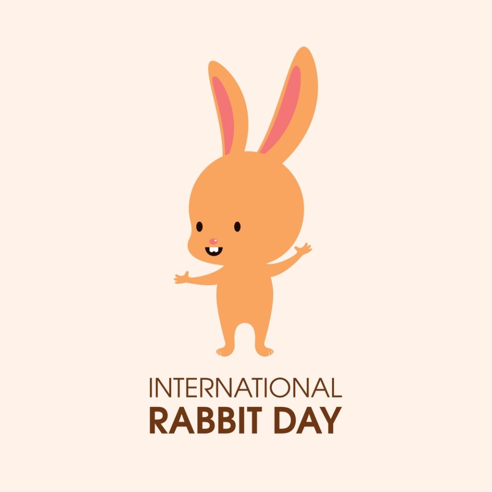 International Bunny Rabbit Day, Wear Your Ears Day, subMrs, Rabbit Vibe, Carrot Dildo, Bunny Ears Sex Position, Rabbit Facts